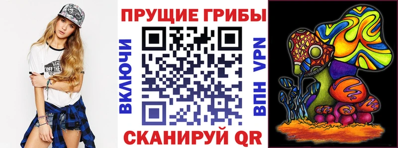 наркота  Тында  Псилоцибиновые грибы мухоморы 