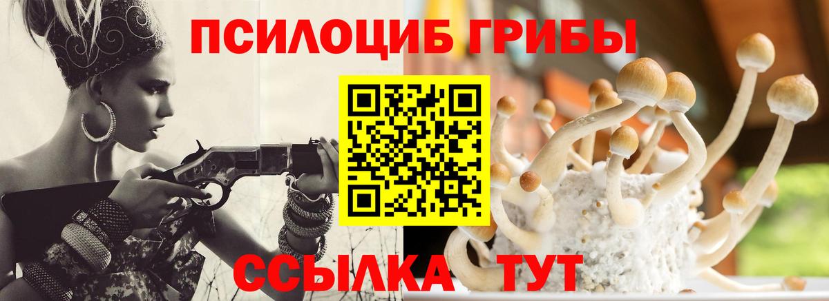 Псилоцибиновые грибы мухоморы  Вход с VPN  Тында 