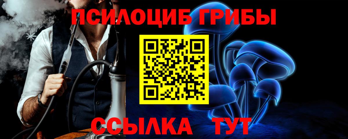 Псилоцибиновые грибы Magic Shrooms Тында